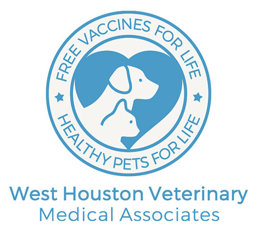 Pet medicine shops near me hotsell