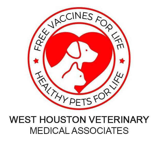 Veterinarian in Houston, Texas | West Houston Veterinary Medical Associates