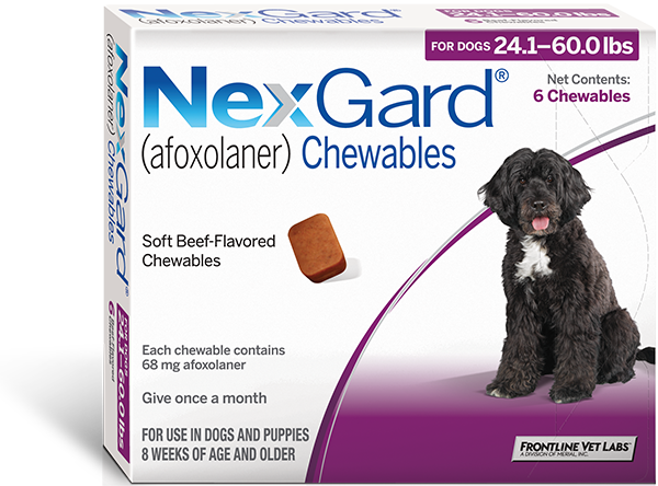 NexGard (afoxolaner) Chewables 24.1-60.0lbs (no claims)