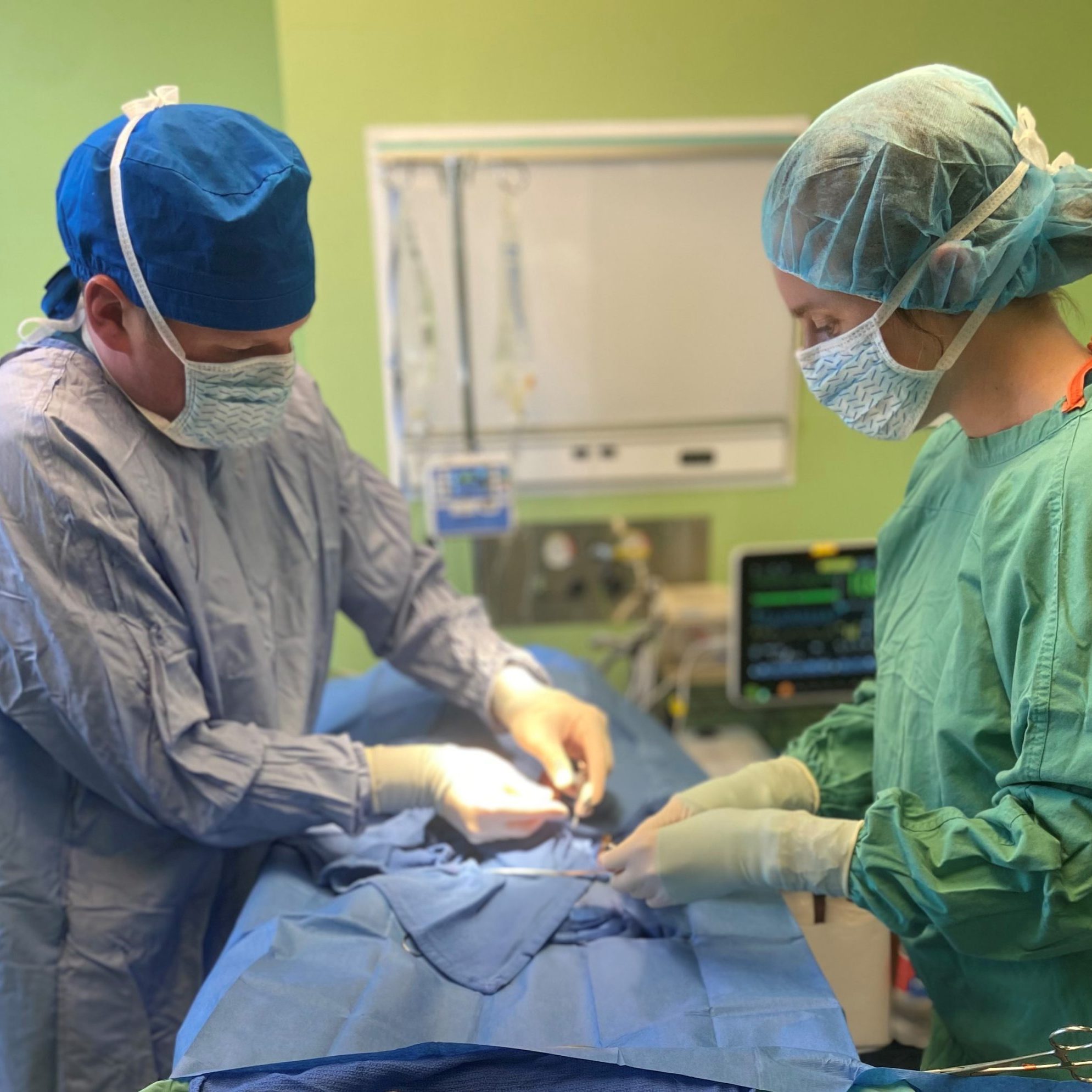 Animal Surgery at WHVMA